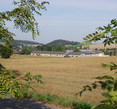 Schopftintlinge